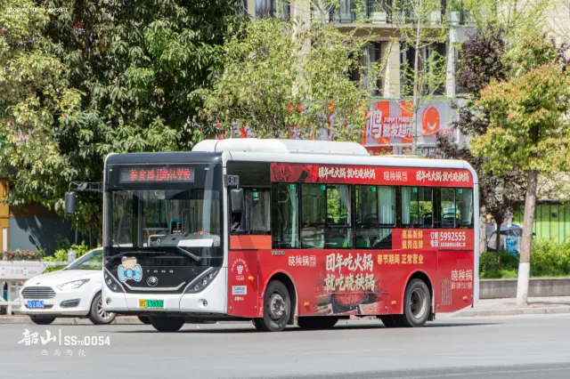 800BUS