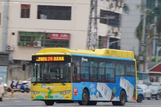800BUS