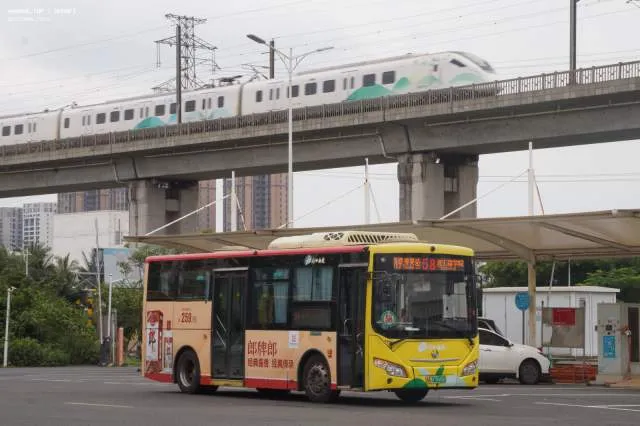 800BUS