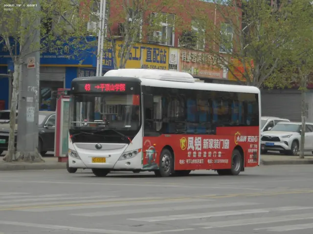 800BUS