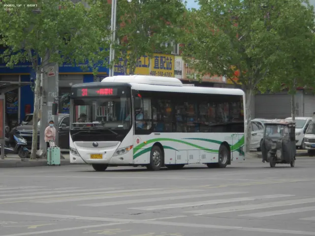 800BUS