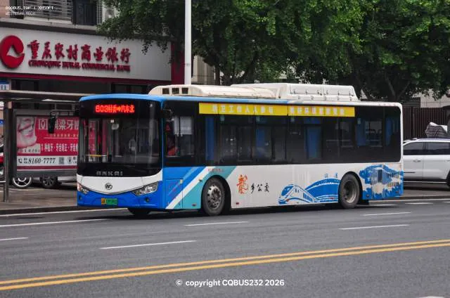 渝A.09599D