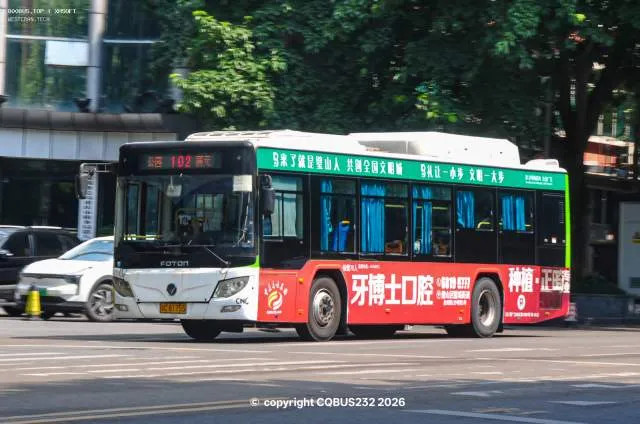 800BUS