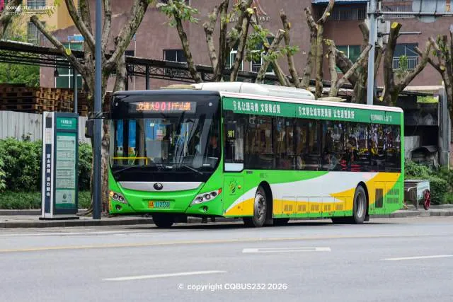 800BUS
