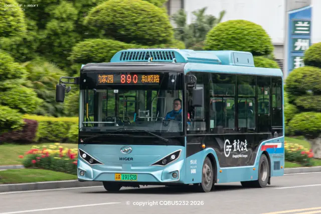 800BUS