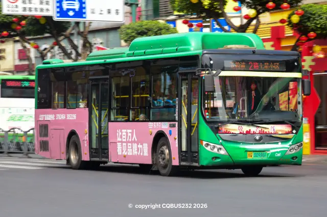 800BUS
