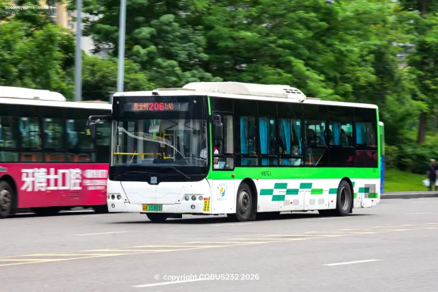 渝A.15360D