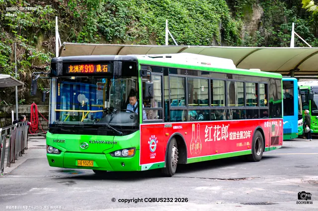800BUS