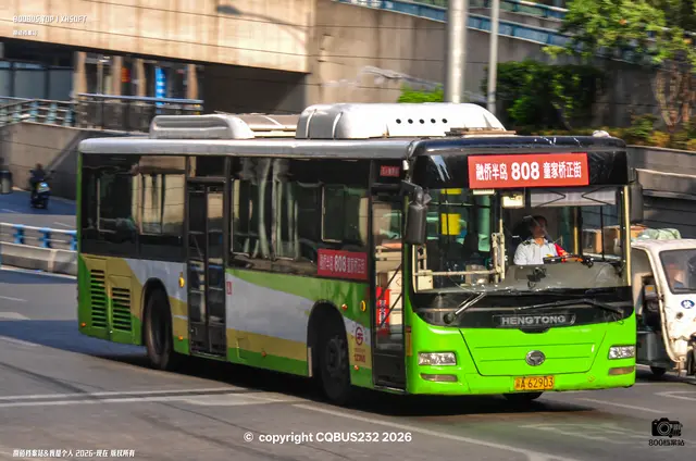800BUS