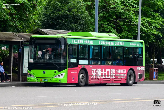 800BUS