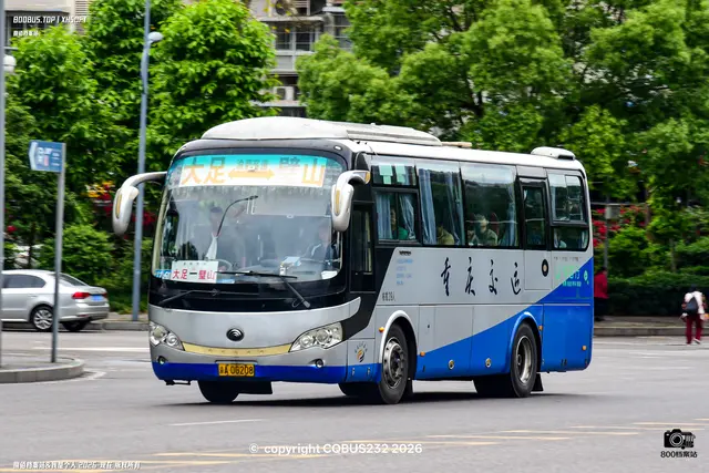 800BUS