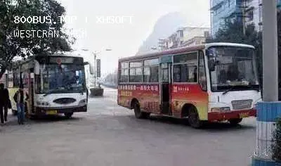 800BUS