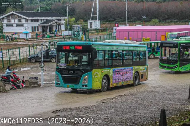 800BUS