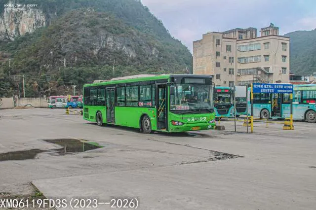 800BUS