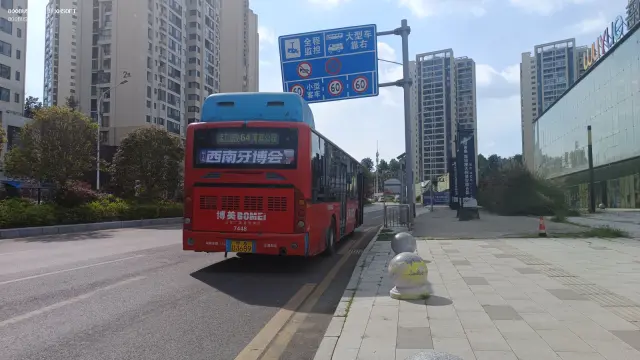 800BUS