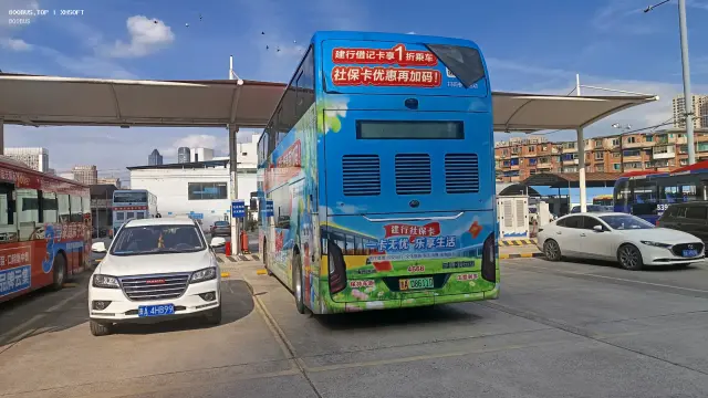 800BUS