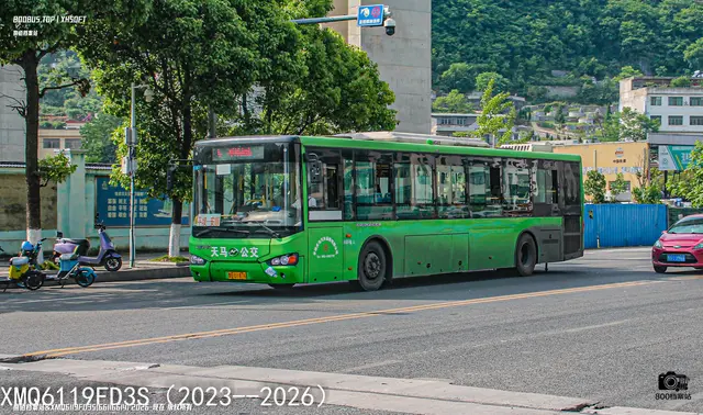 800BUS