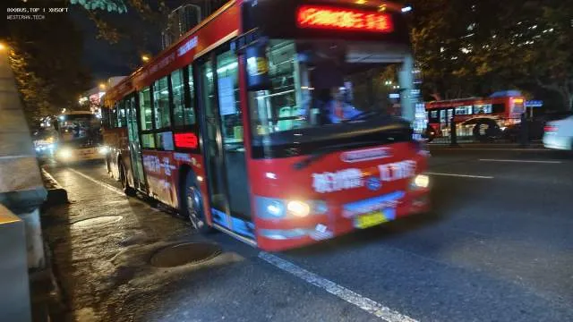 800BUS
