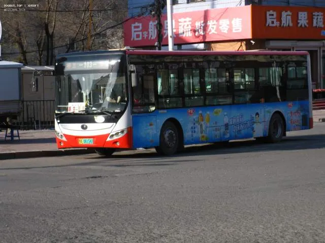800BUS