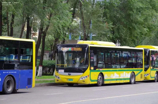 800BUS