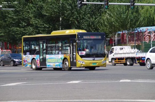 800BUS