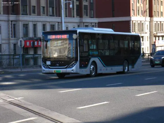 黑M08891D