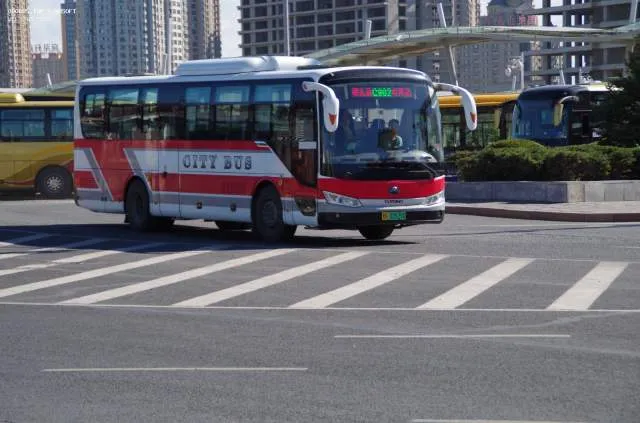 800BUS