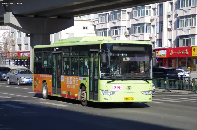800BUS