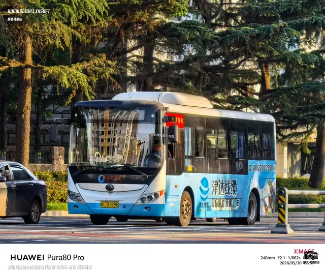 800BUS