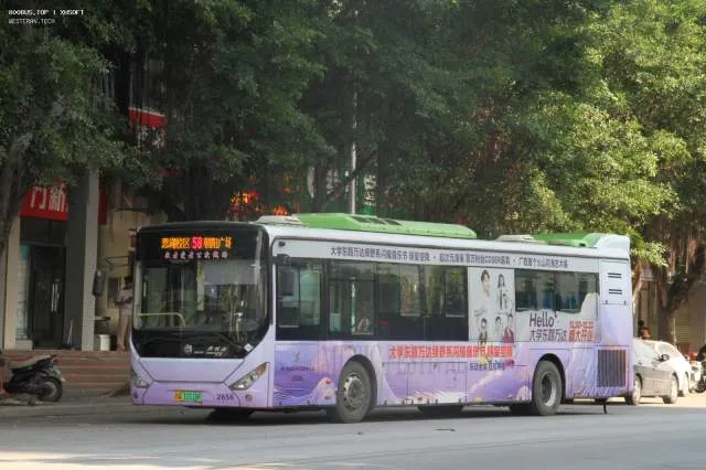 800BUS