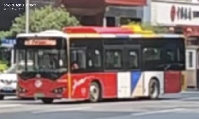 800BUS