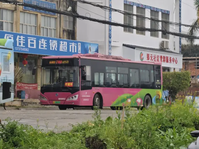800BUS