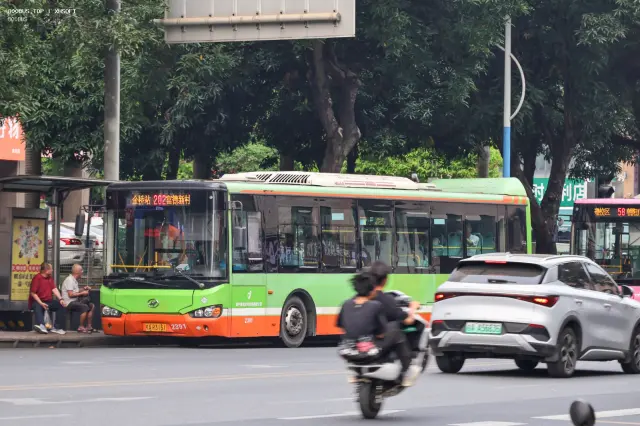 800BUS
