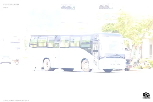 800BUS