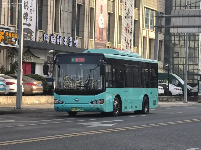 800BUS
