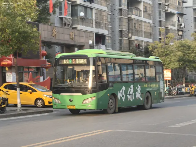 800BUS