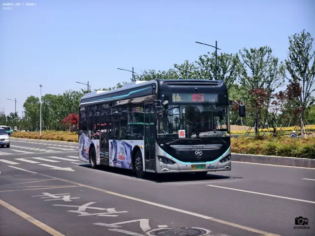 800BUS
