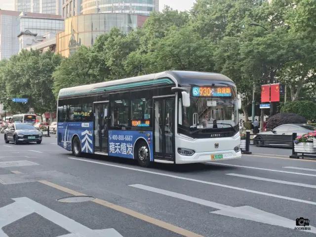 800BUS