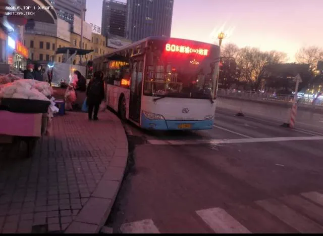 800BUS