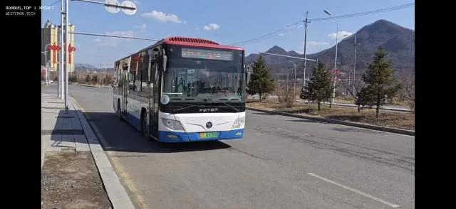 800BUS