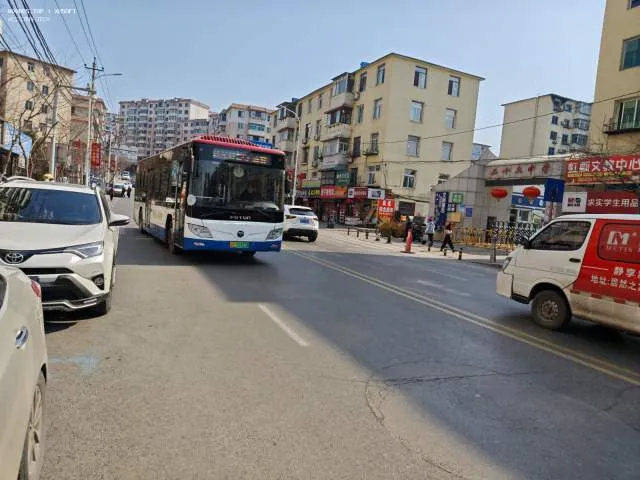 800BUS
