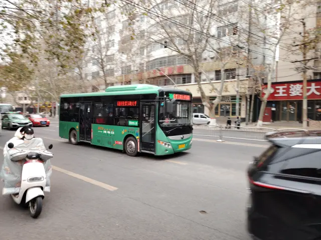 800BUS