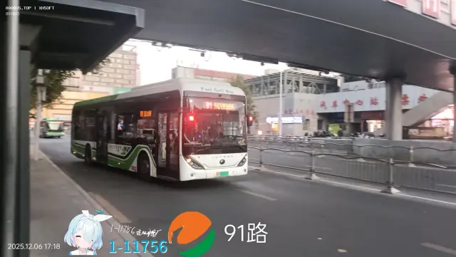 800BUS