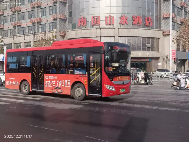 800BUS