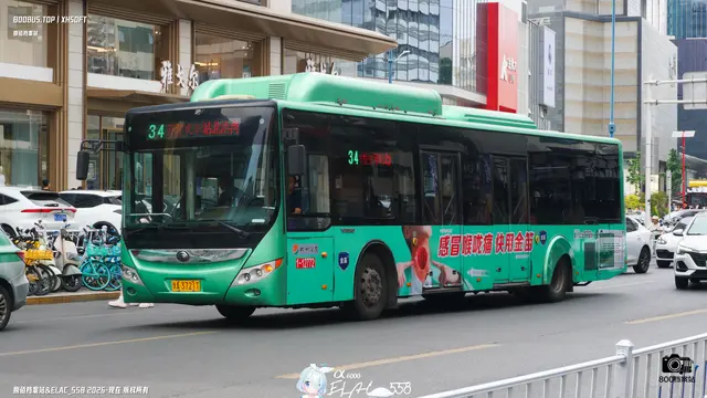 800BUS