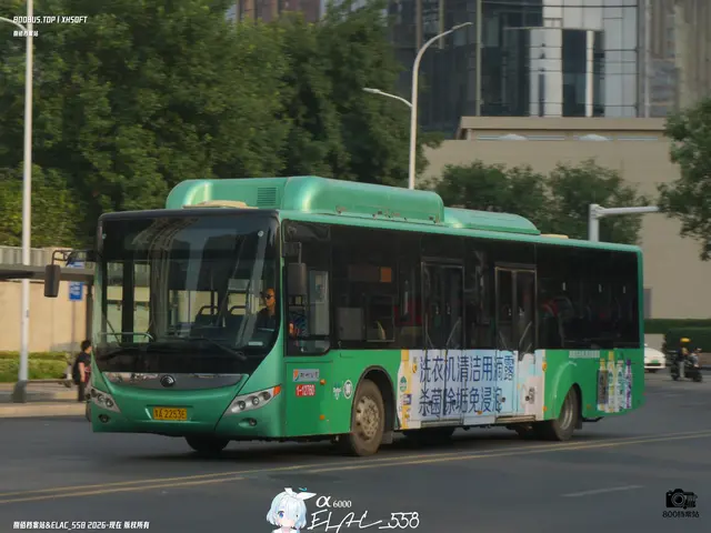 800BUS