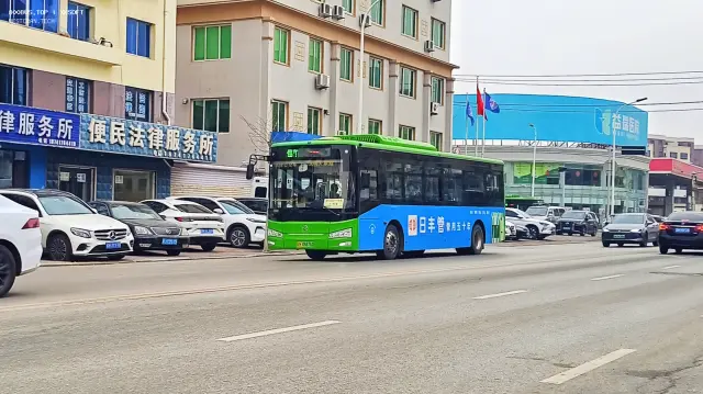 800BUS