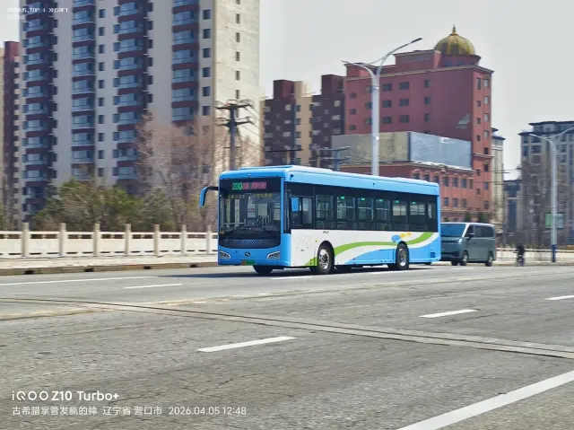 800BUS