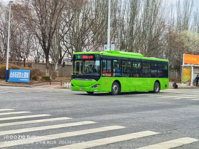 800BUS
