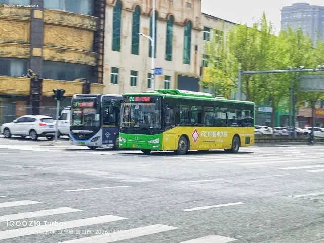 800BUS